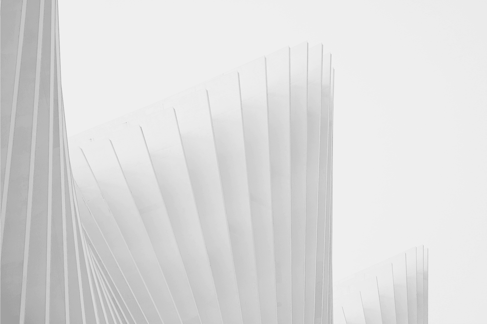 Republic Capital Website